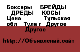 1 Боксеры  2 БРЕЙДЫ 3 ДРЕДЫ 4  КОСЫ  › Цена ­ 1 500 - Тульская обл., Тула г. Другое » Другое   